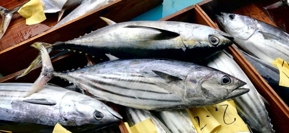 New agreement set to boost Tanzania’s fish exports to the US