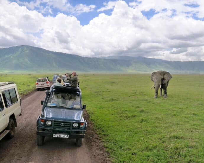 Tanzania Association of Tour Operators says Oakland Institute’s claims are baseless