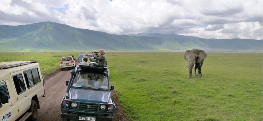 Tanzania Association of Tour Operators says Oakland Institute’s claims are baseless