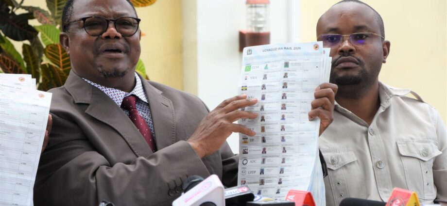 Tanzania civic polls: Roles of state and electoral body come under scrutiny