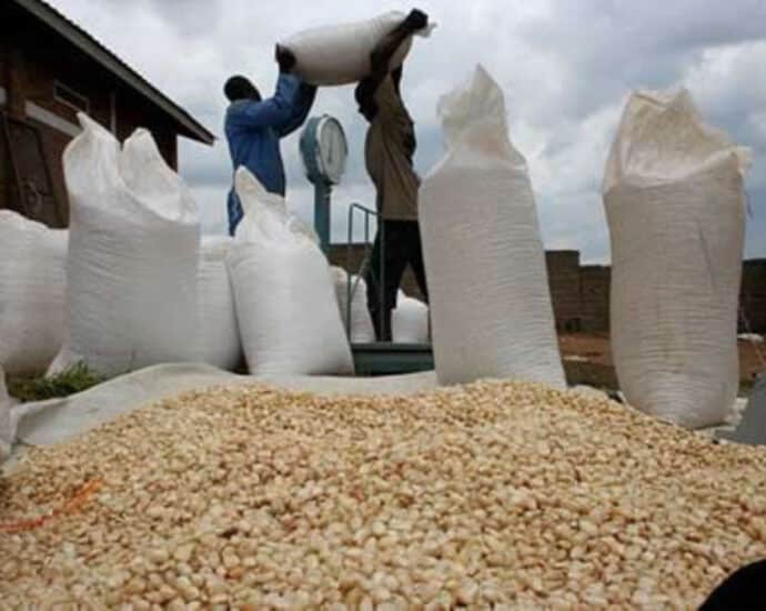 ‘Tanzania could beat Uganda to big grain deal with Zambia’ 