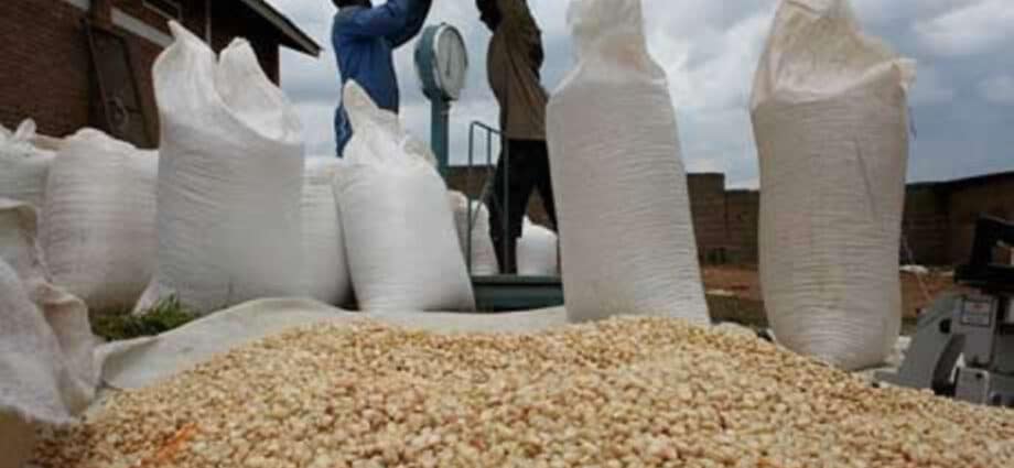 ‘Tanzania could beat Uganda to big grain deal with Zambia’ 