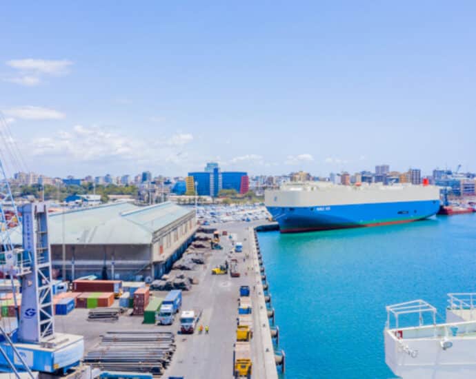 What it means as two global giants now operate Dar port