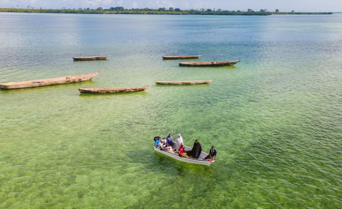 Tanzania’s Seaweed Farmers Bring the Ocean’s Bounty to the World