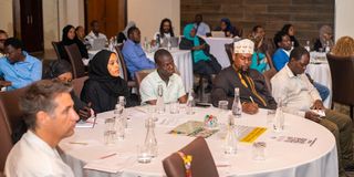 Tourism stakeholders in Zanzibar meet to discuss industry sustainability