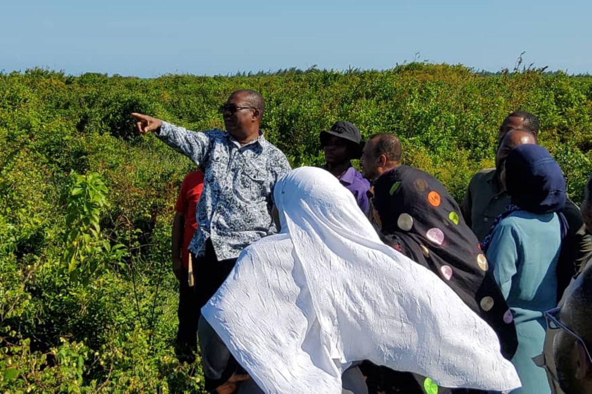 Wananchi Paje wataka ushirikishwaji ujenzi uwanja wa ndege