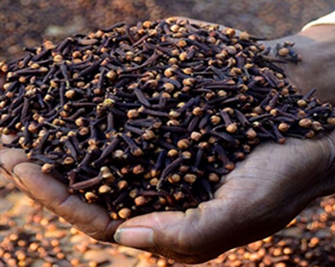 Zanzibar clove farmers cautioned against street sales amid fraudulent practices