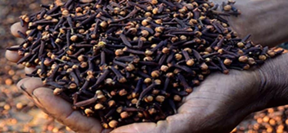 Zanzibar clove farmers cautioned against street sales amid fraudulent practices