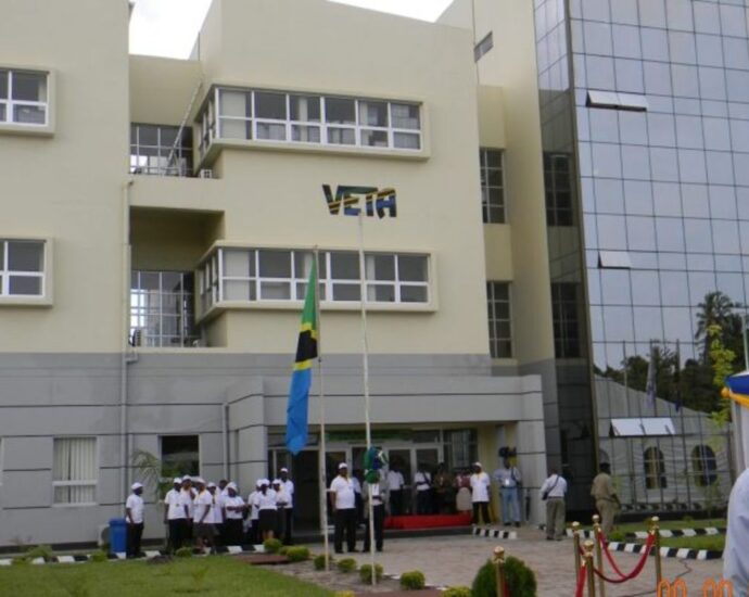 Beyond the classroom: A Masterclass in Experiential Learning at VETA-Dar es Salaam