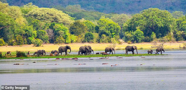 Inside Uganda’s ‘cheaper’ safari park where elephants go snorkelling