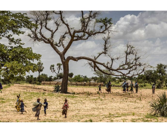 Learning from ancient wisdom: Africa’s contribution to fighting climate change