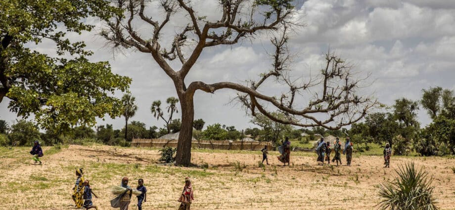 Learning from ancient wisdom: Africa’s contribution to fighting climate change