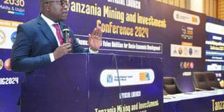 Tanzania sets sights on becoming Africa’s premier graphite producer