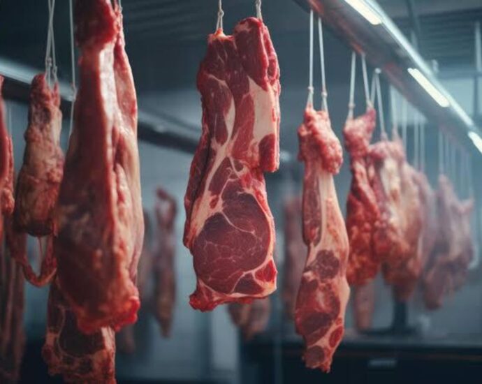 Why Middle East is crucial for Tanzania’s meat exports