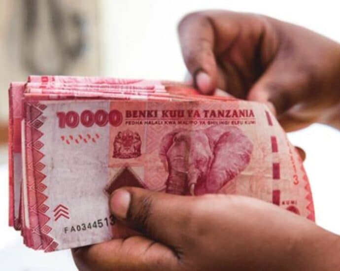 Dollar crisis: Tanzania backs local currency use in East Africa trade