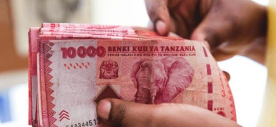 Dollar crisis: Tanzania backs local currency use in East Africa trade