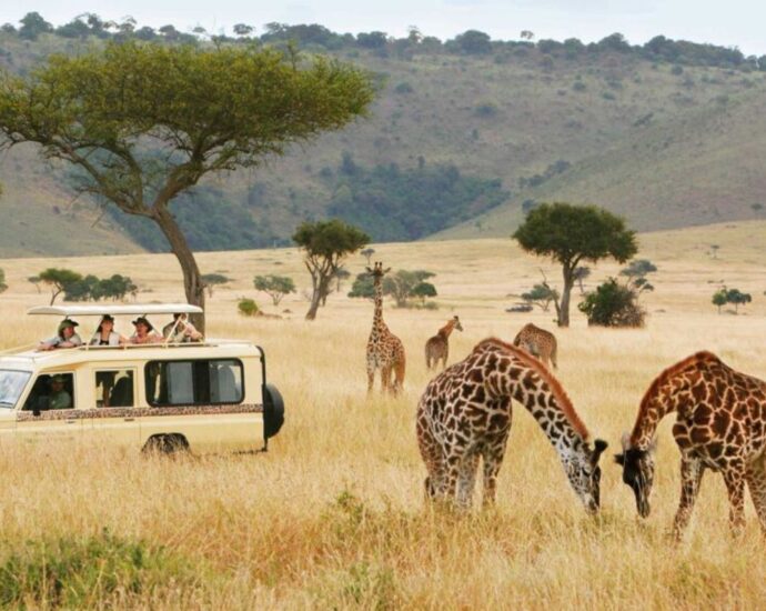 Tanzania leads Africa in recovery of tourism sector