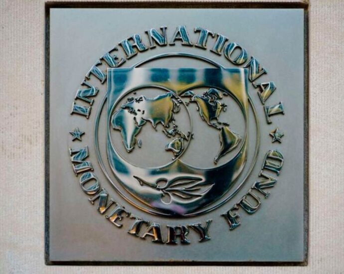 Tanzania joins IMF-World Bank climate scheme