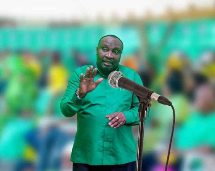 CCM urges SMZ to allow quarry to continue in South Unguja