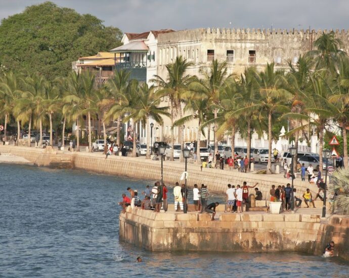 How Zanzibar hopes to promote economic growth with mining law