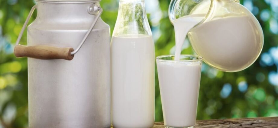 Tanzania responds to claims of blocking Rwandan milk