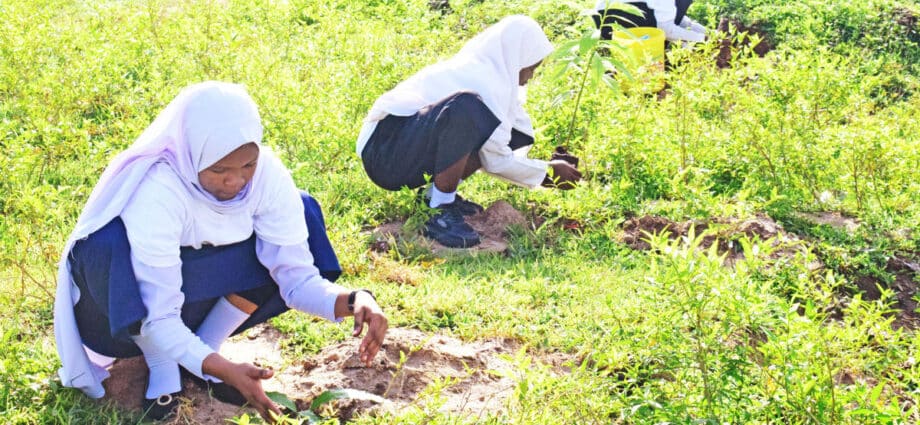 Unicef launches youth climate scheme in Zanzibar