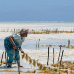 Women in Zanzibar now embrace mixed farming