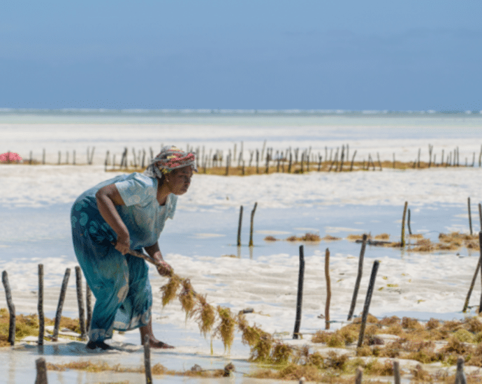 Women in Zanzibar now embrace mixed farming