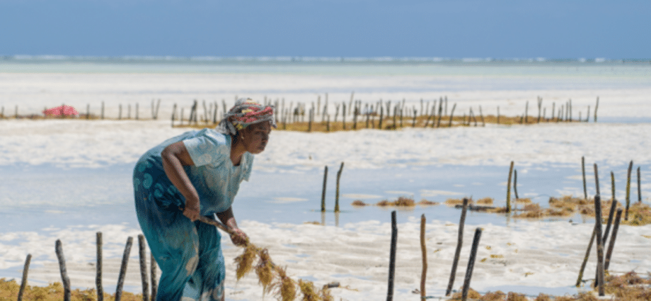 Women in Zanzibar now embrace mixed farming