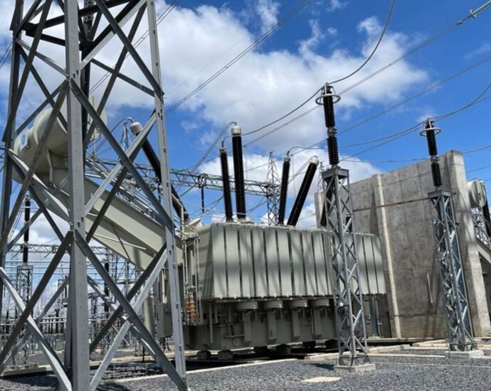 Tanzania-Kenya power interconnection: Key milestone for integration