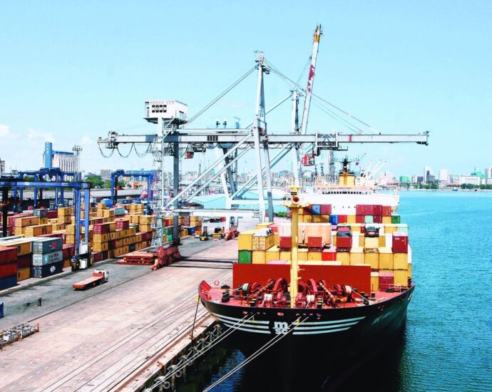 Tanzania Shipping Agencies Corporation vows to boost port efficiency