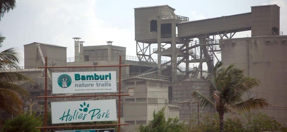 Tanzania’s Amsons takes first Sh162.16 billion stake in Bamburi