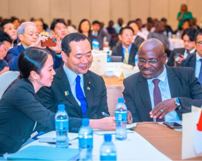 Japanese investors explore Tanzanian opportunities