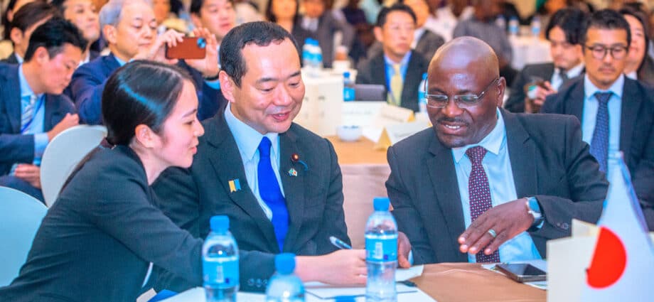 Japanese investors explore Tanzanian opportunities