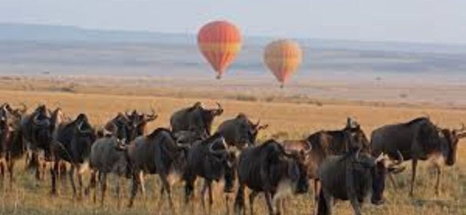 US investors mull IPO for five-star hotel near Serengeti National Park