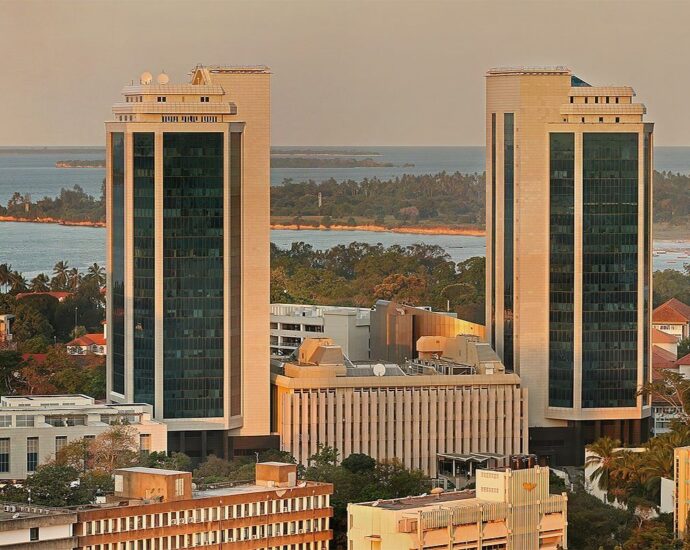 Bank of Tanzania’s new study to chart path for digital currency