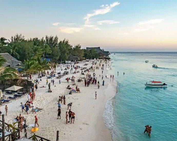Germany, South Africa dominate Zanzibar’s tourist arrivals in April 2025