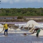 Tanzania to introduce special salt licences to boost production