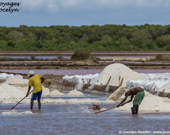 Tanzania to introduce special salt licences to boost production