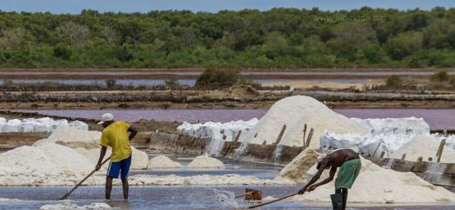 Tanzania to introduce special salt licences to boost production