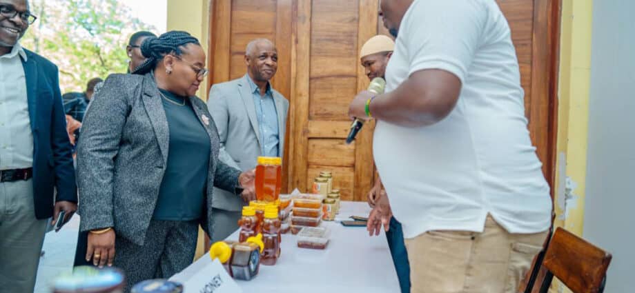 Tanzania’s beekeeping sector booms amidst growth in market access, reforms