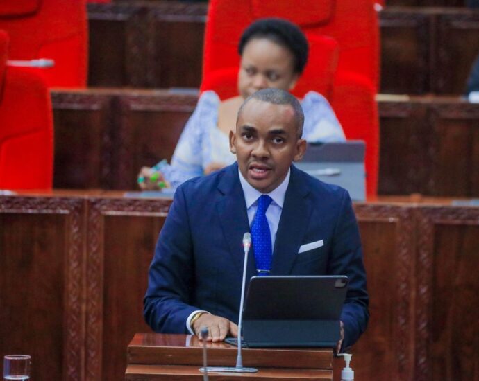 Tanzania’s digital economy sees surge in mobile, internet, financial services