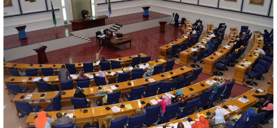 Zanzibar lawmakers decry faulty payroll system causing underpayments