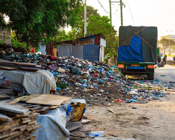 Beyond the bag ban: Time for tougher plastic pollution policies in Tanzania