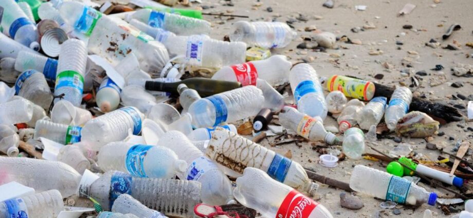 How Tanzania can step up its fight against plastic pollution