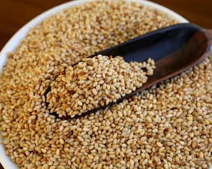 Tanzania earns Sh300 billion from sesame exports in 2024