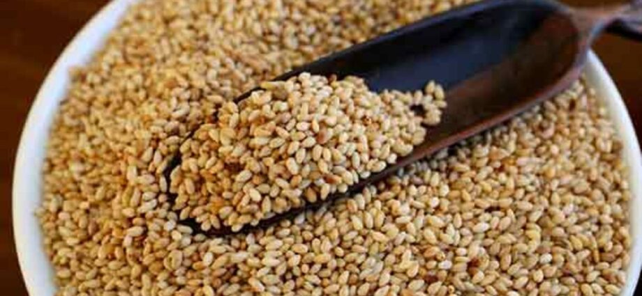 Tanzania earns Sh300 billion from sesame exports in 2024