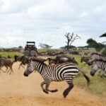 Tanzanian tour firm champions pro-poor tourism model