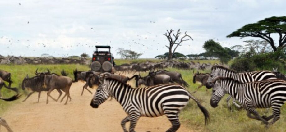 Tanzanian tour firm champions pro-poor tourism model