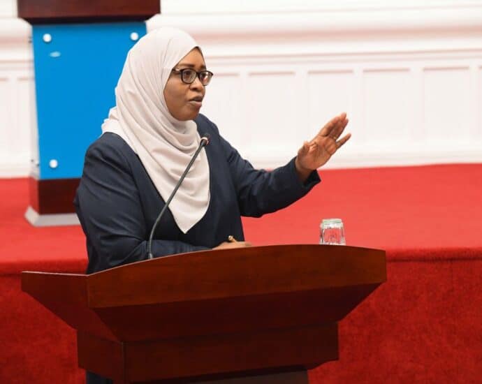 Zanzibar proposes new taxes to boost local industries and protect jobs